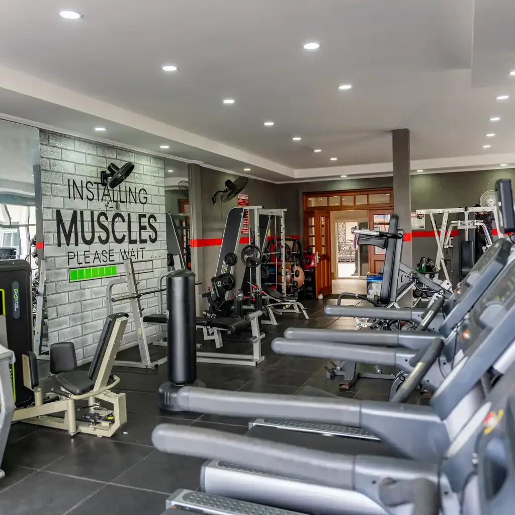 Gym equipment