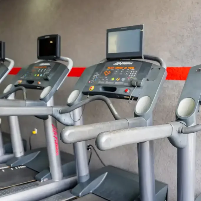 Treadmills in the gym